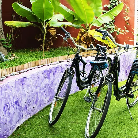 ベッド・アンド・ブレックファスト Katanka