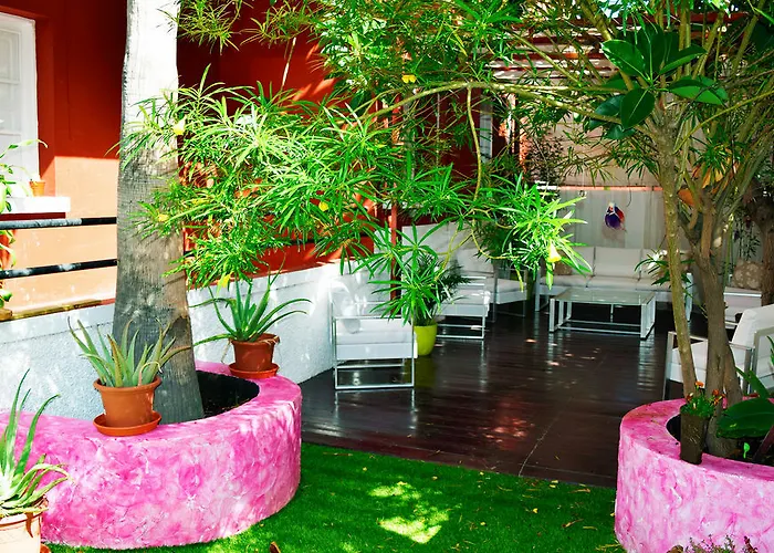 Katanka Las Palmas de Gran Canaria