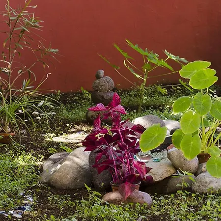 Oda ve Kahvaltı Katanka Las Palmas de Gran Canaria