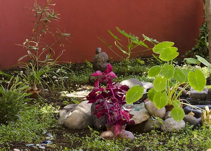 B&B Katanka 라스팔마스